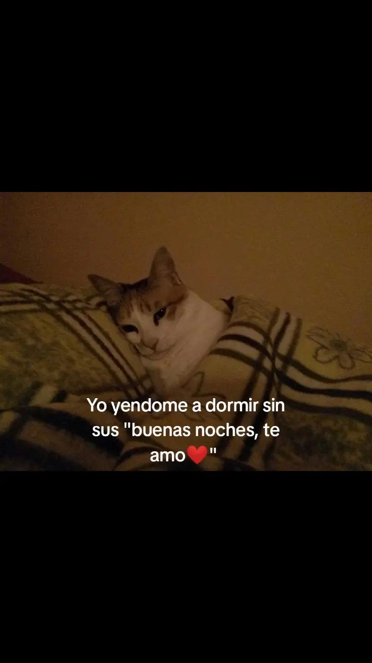 @Leoncio🗣️