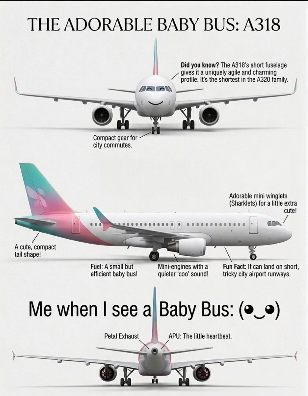 @Alpha Aviation ✈️