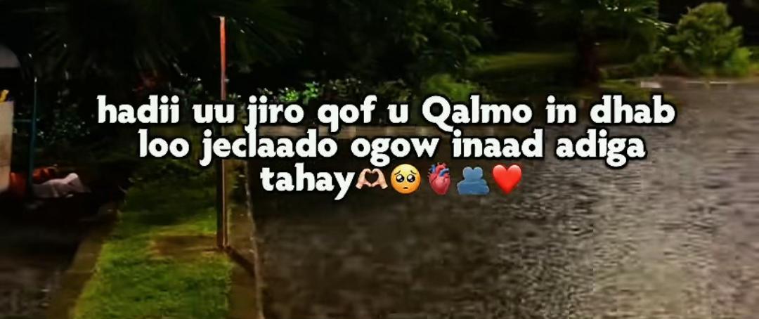 @ꨄ︎
