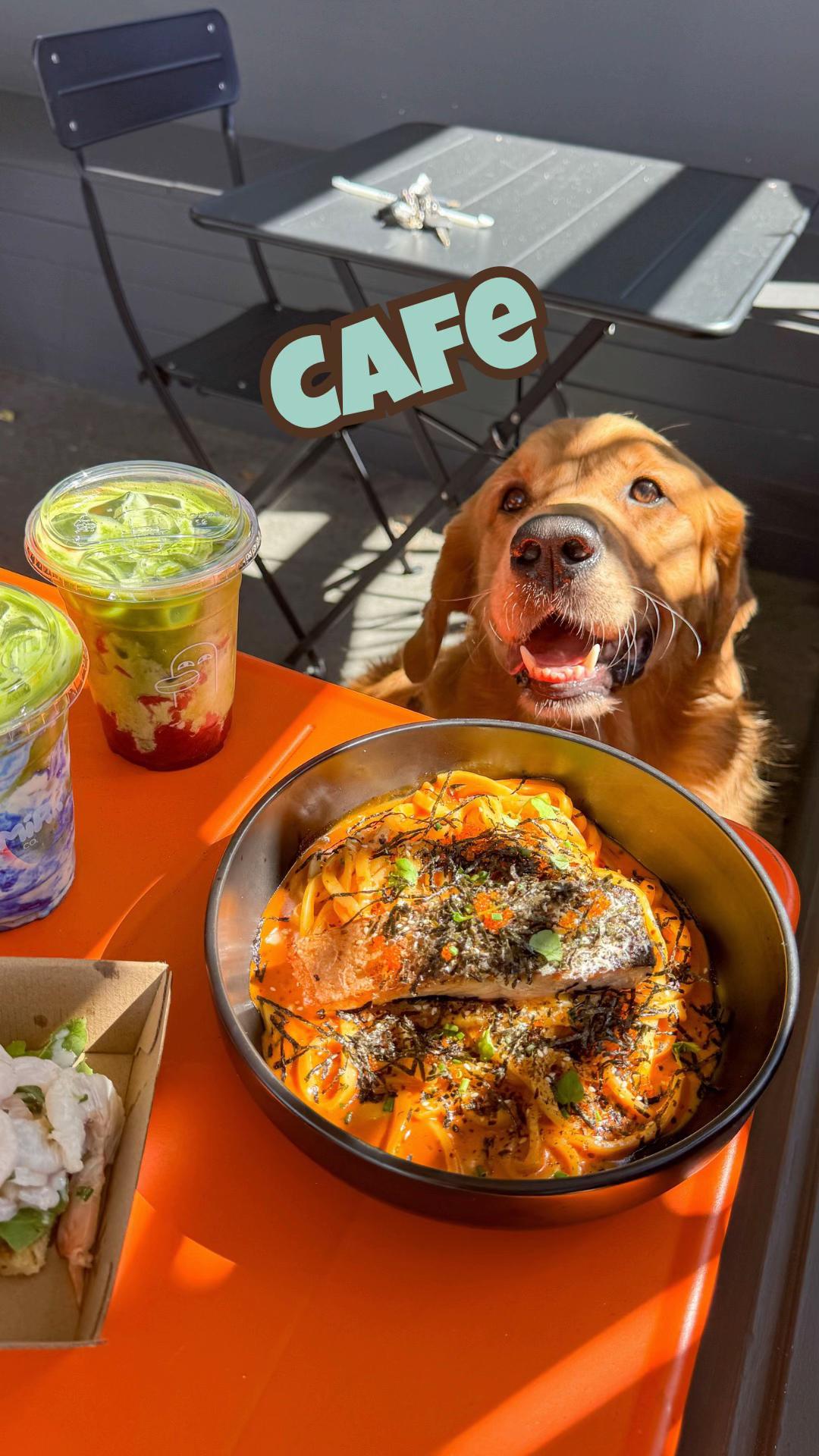@Brisbane Dog Friendly