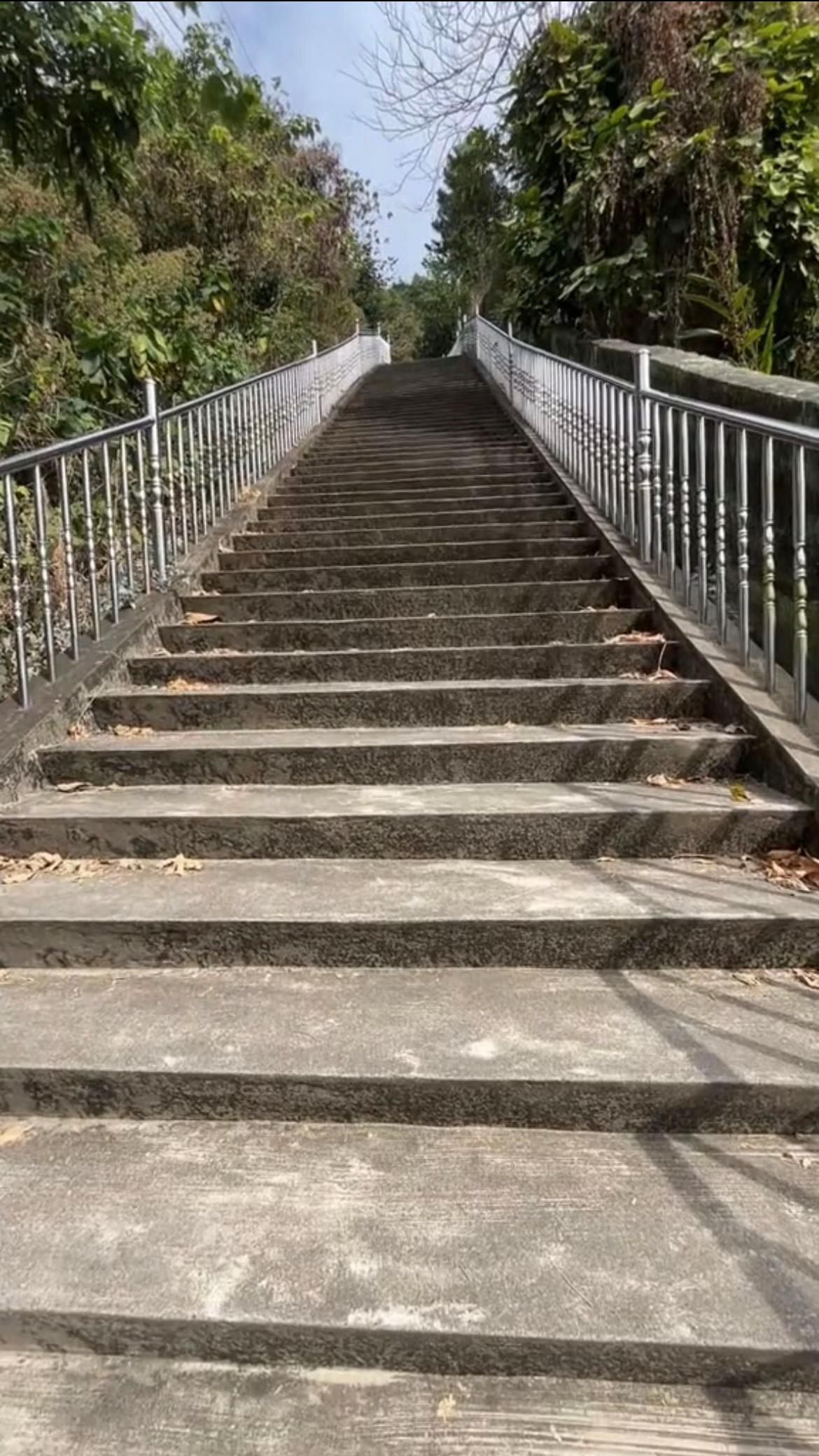 @陳皮