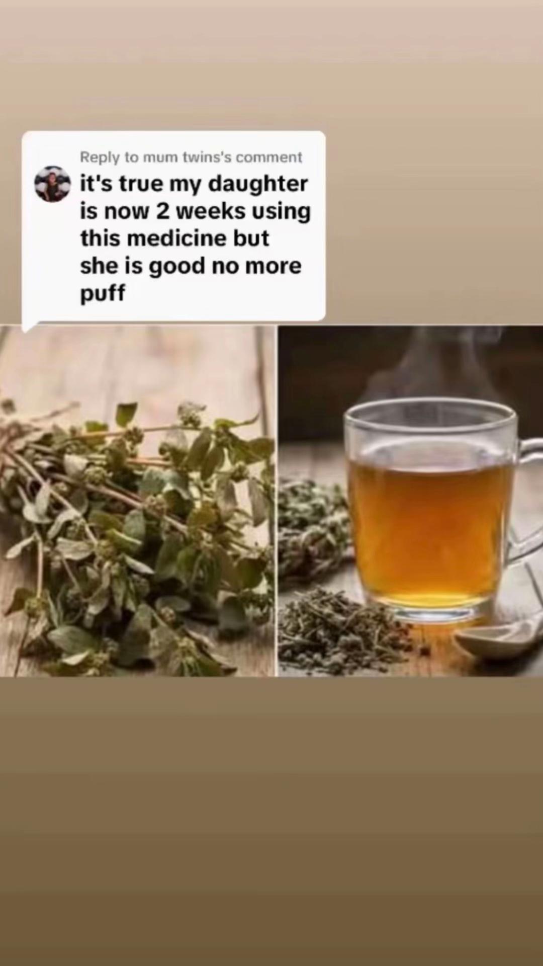 @Asthma-plant_herbalshop