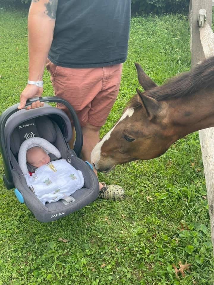 @Equestrian |🦄 Mom