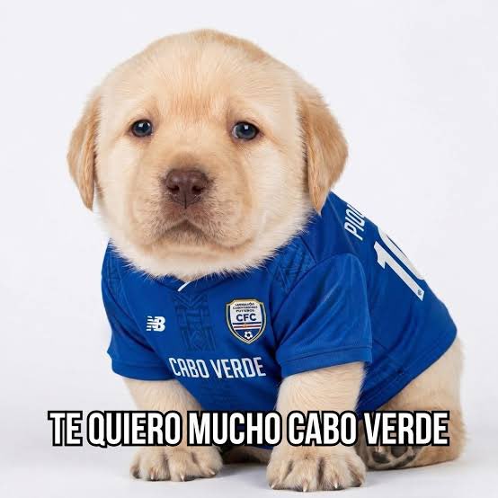 @EyZamorano
