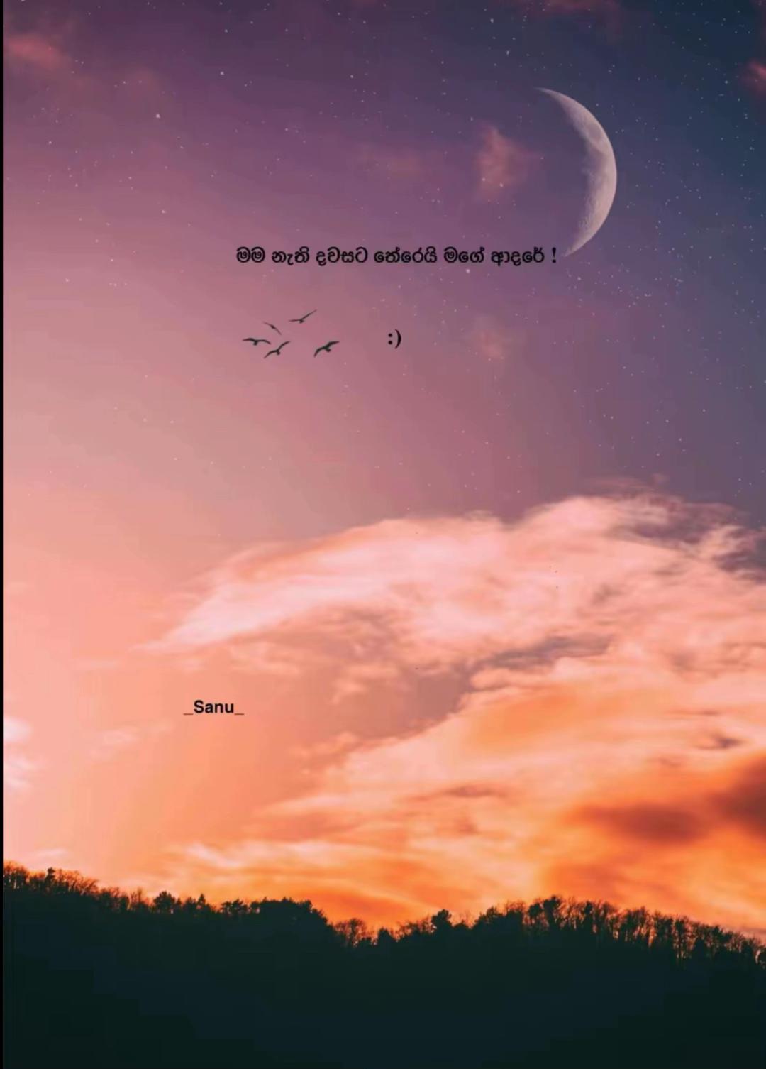 @ꫝ𝓲𝘳ꪊꪊ 🌷!