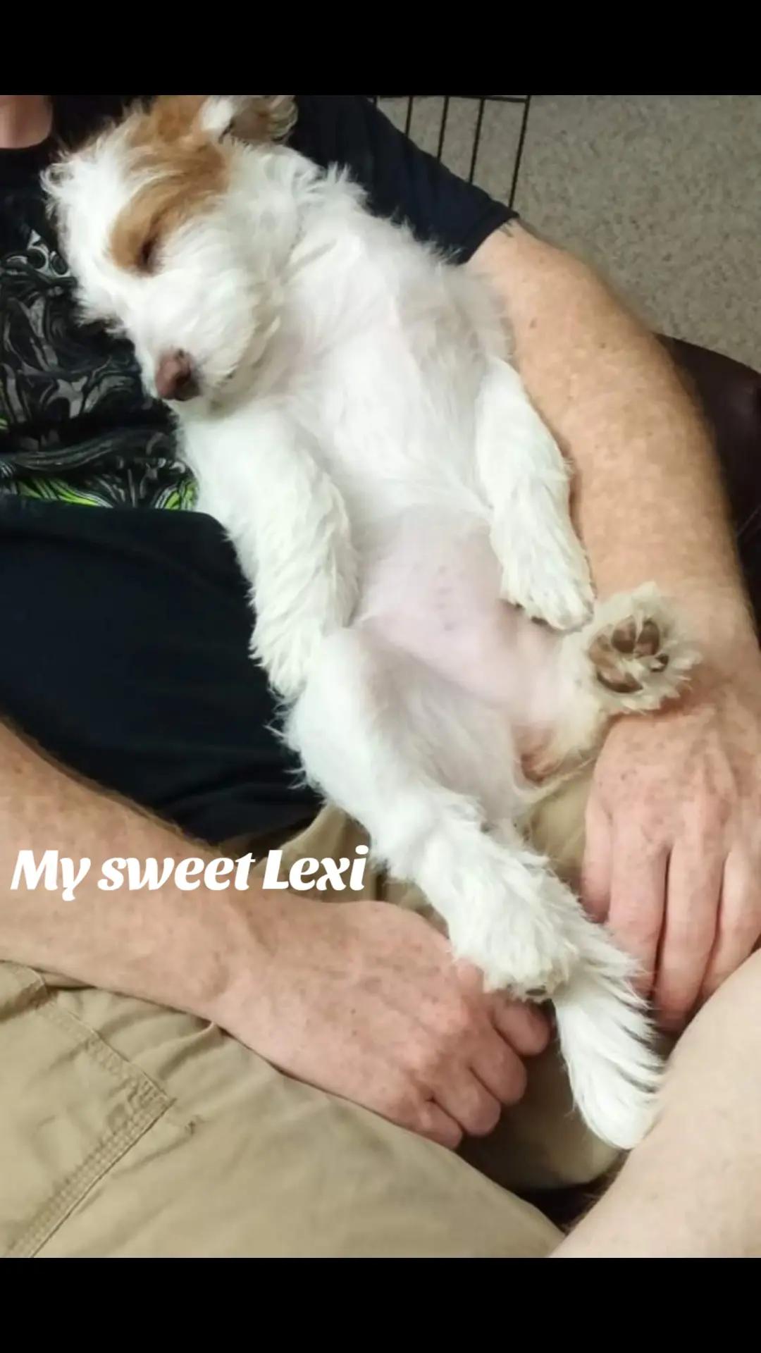 @Locketgurl2❌️ & Russjr.gen❌️