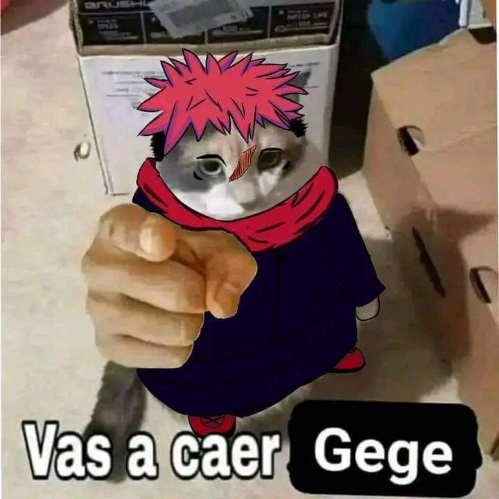 @Tampico