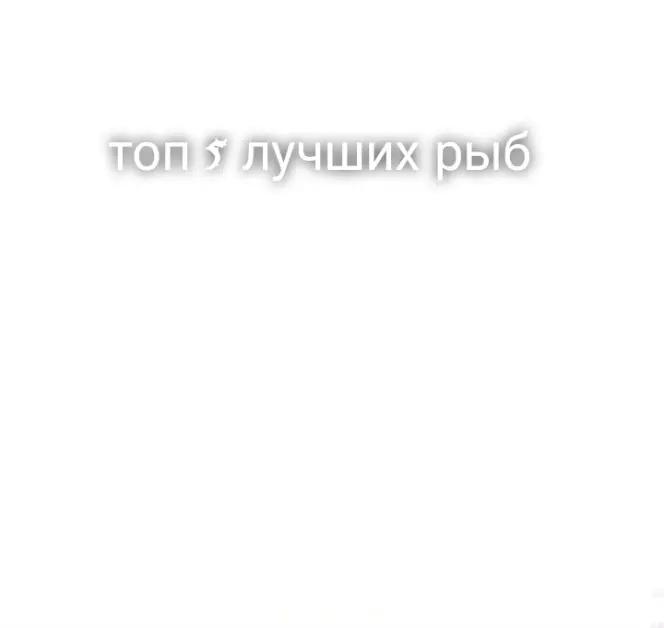 @𝗗𝗲𝗳𝘁