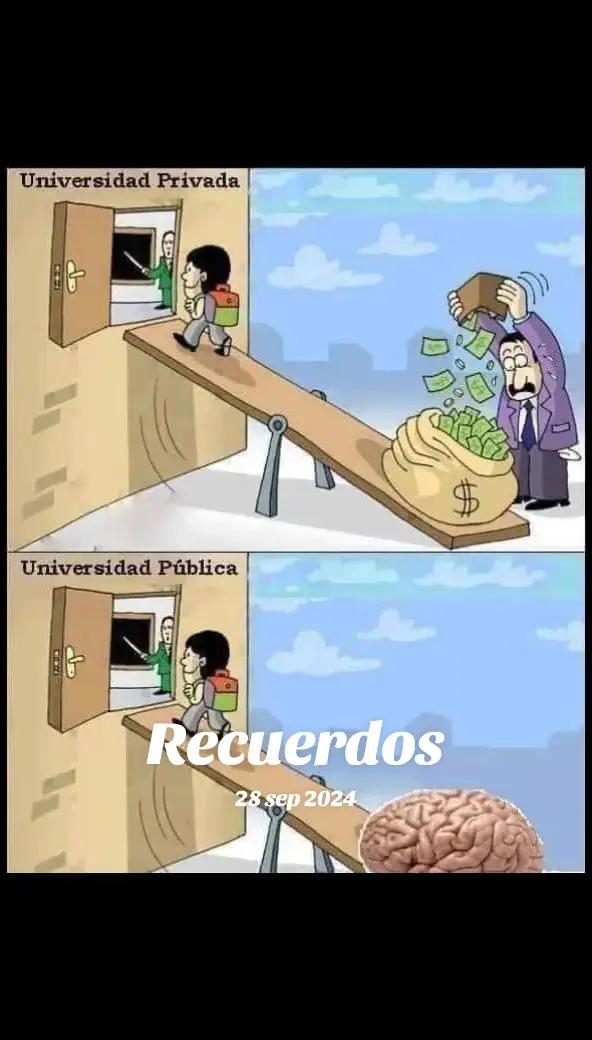 @nunezapariciodvk