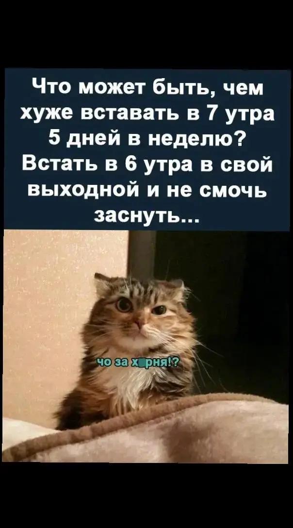 @Олеся