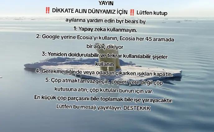 @YalnızKurtTR