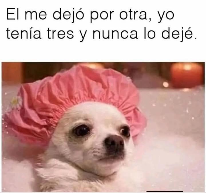 @Estela Silva