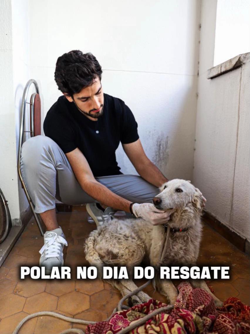 @julinhocasares