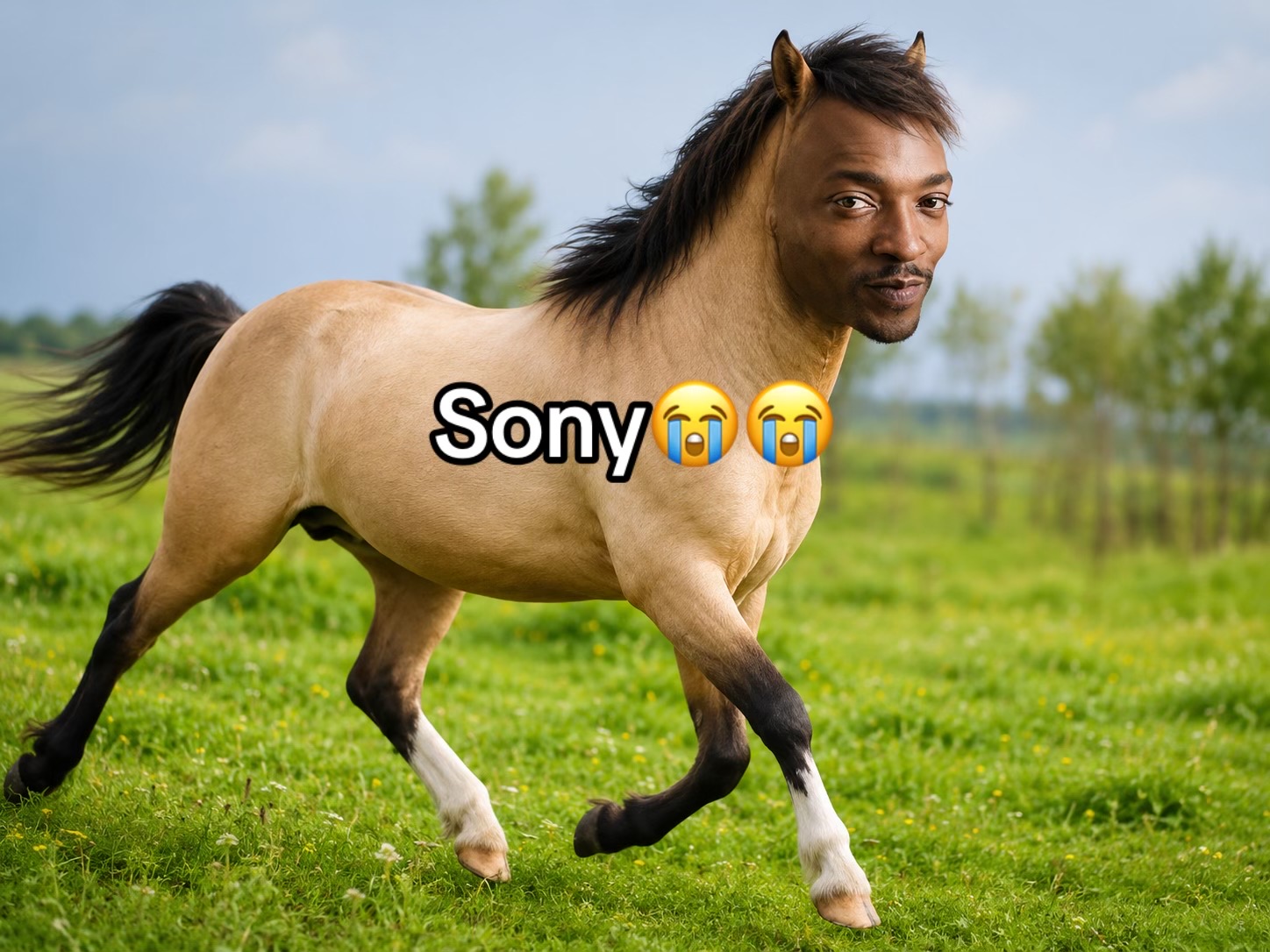 @Toinsch