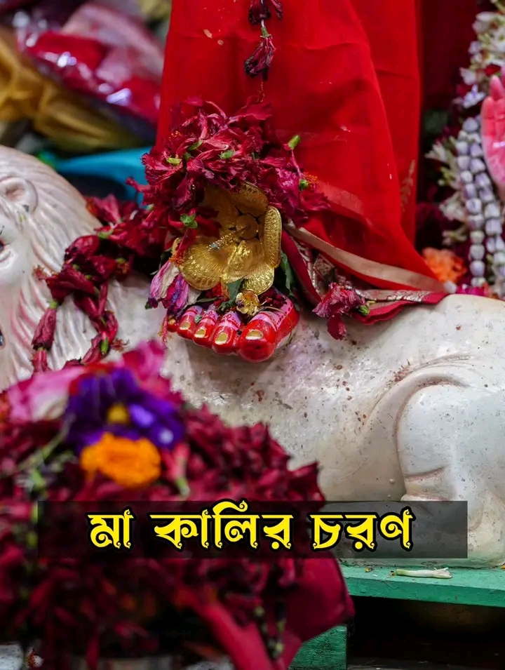@🌻🦋 रानी कविता🦋🌻