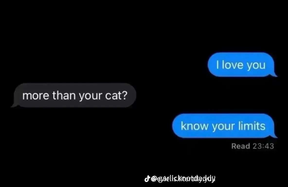 @🐈&zwj;⬛