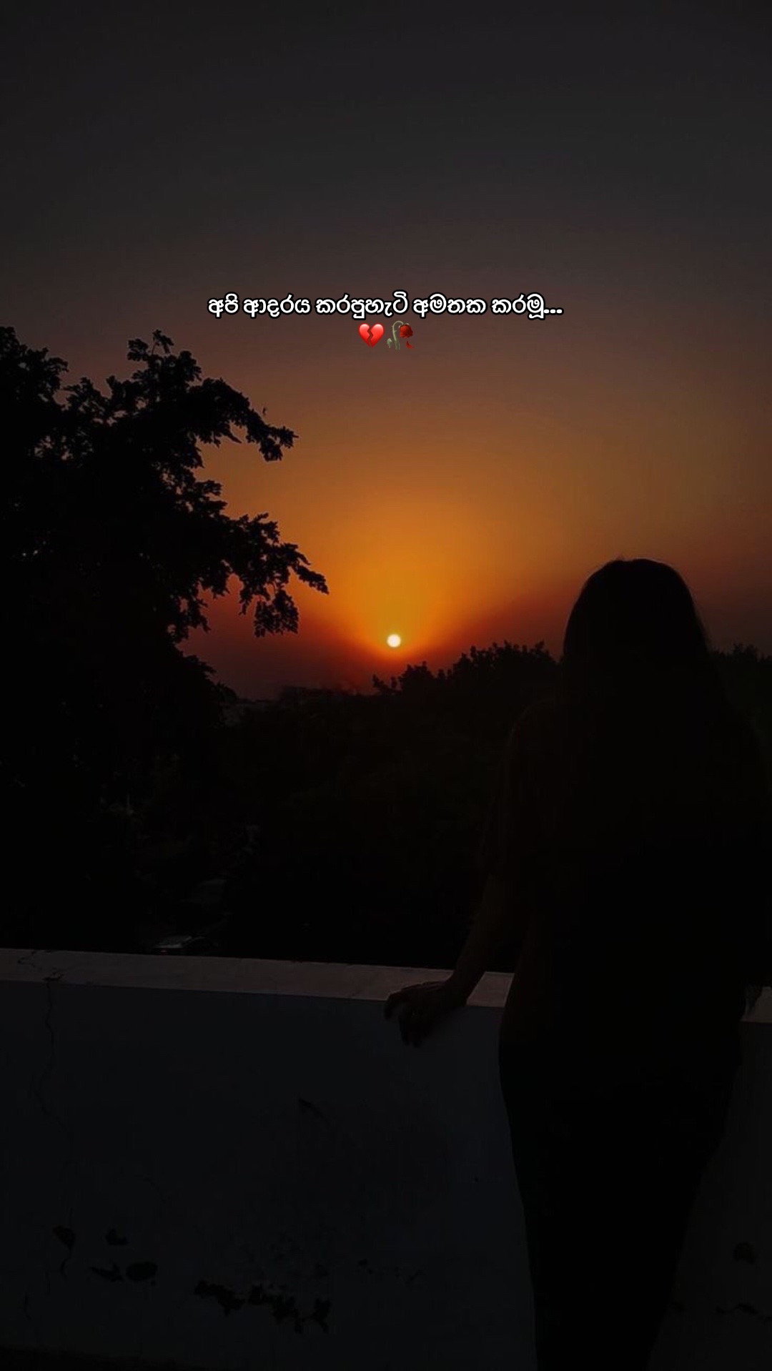 @Nethu Liyanage🌸