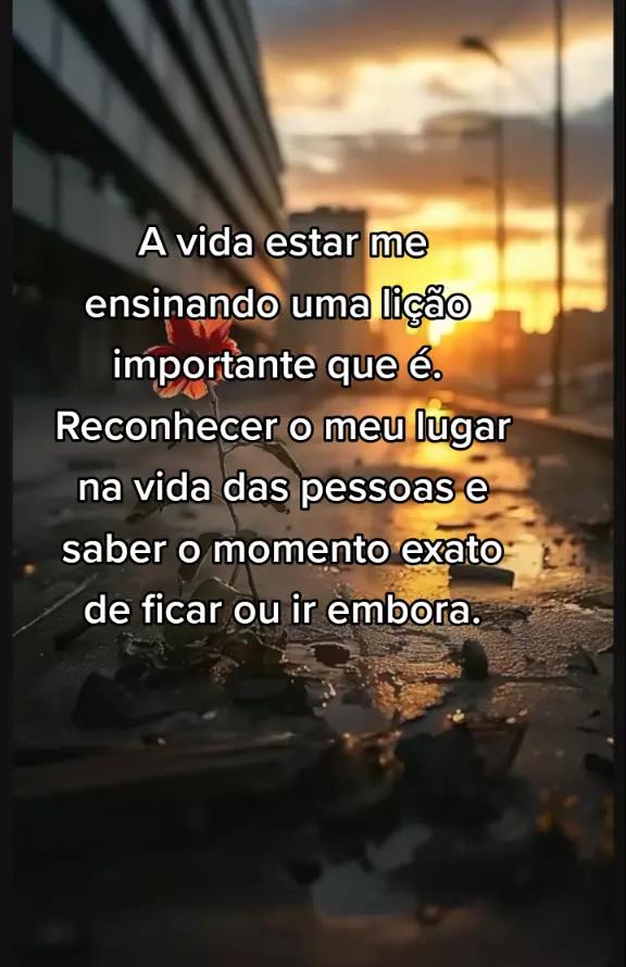 @Renato Damazio#30