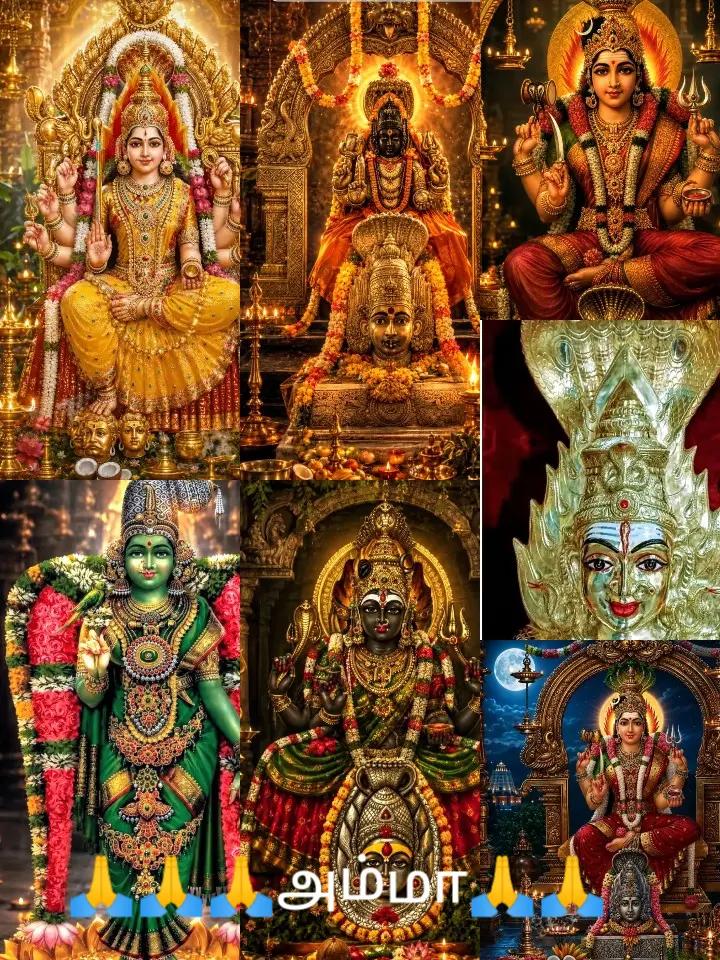@தனு