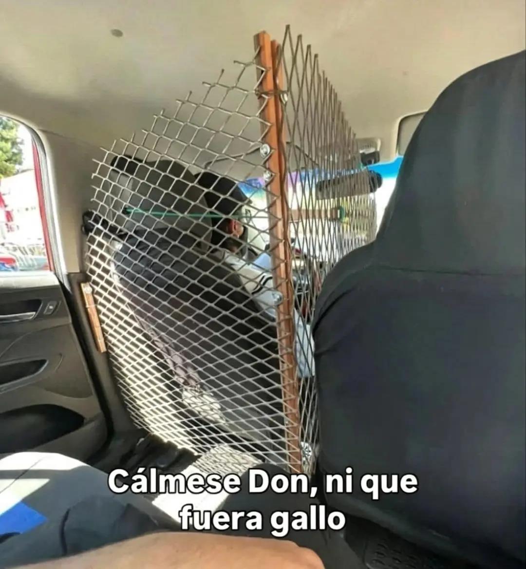 @EL ⬇️rey de las_⬇️bromas✓