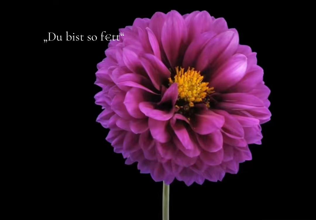 @๐๐๐ฐ๐ฆ(:
