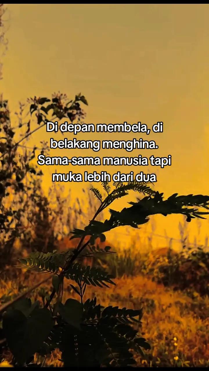 @Dina