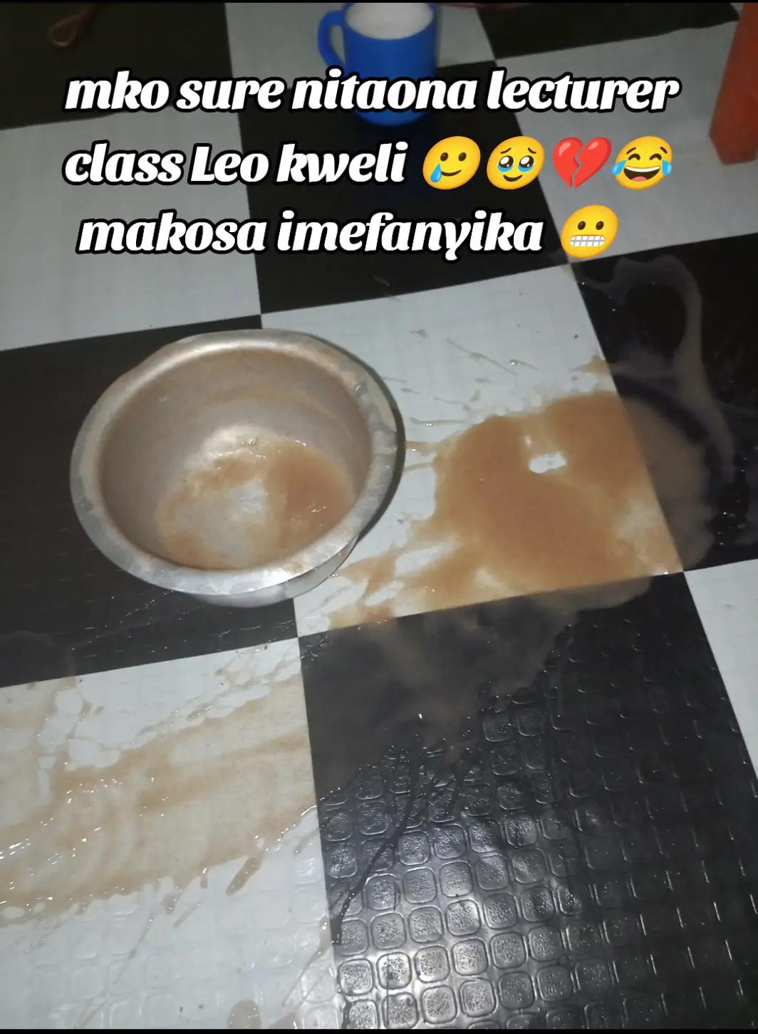 @celestino