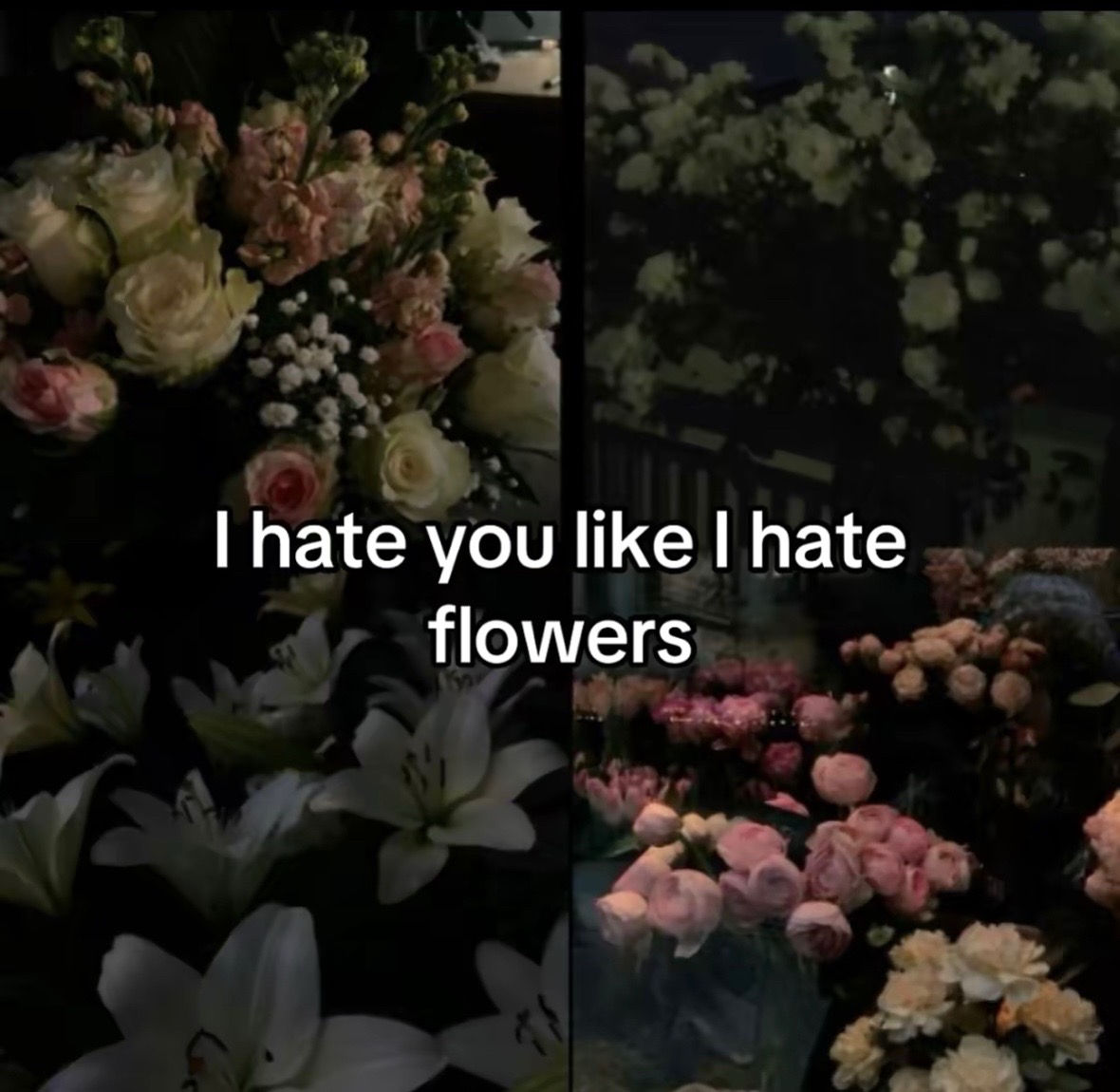 @★𝓖𝓪𝓫𝓫𝔂★