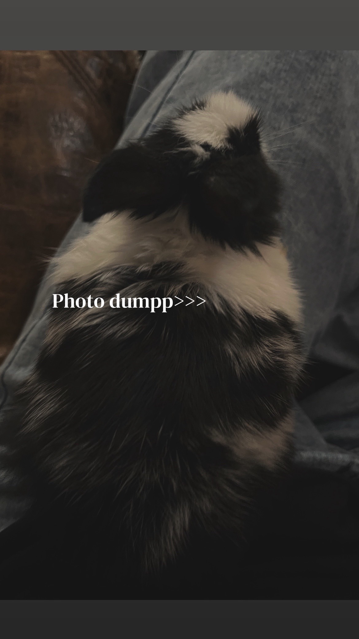 @𝒥𝒶𝓇ℯ𝓈𝓁𝓎 ❀