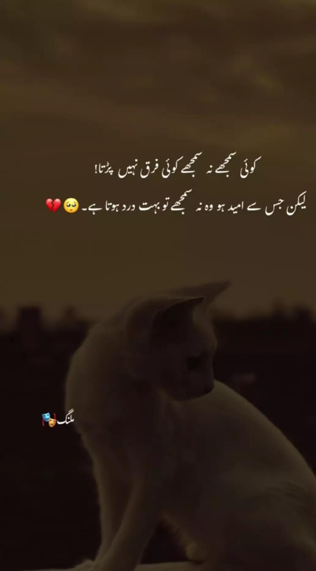 @🥰