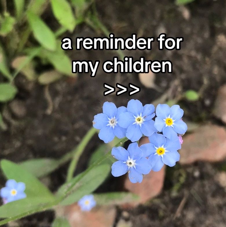 @Toni x