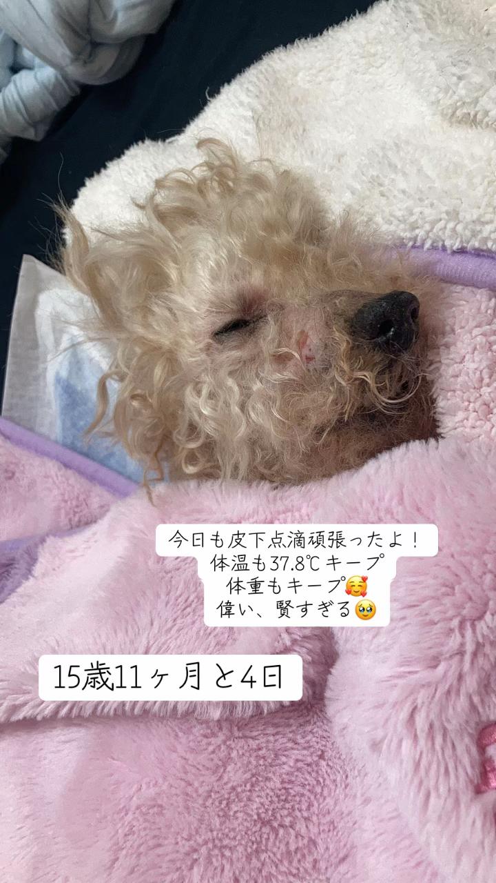 @ðð¥maimai0627ð¥ð
