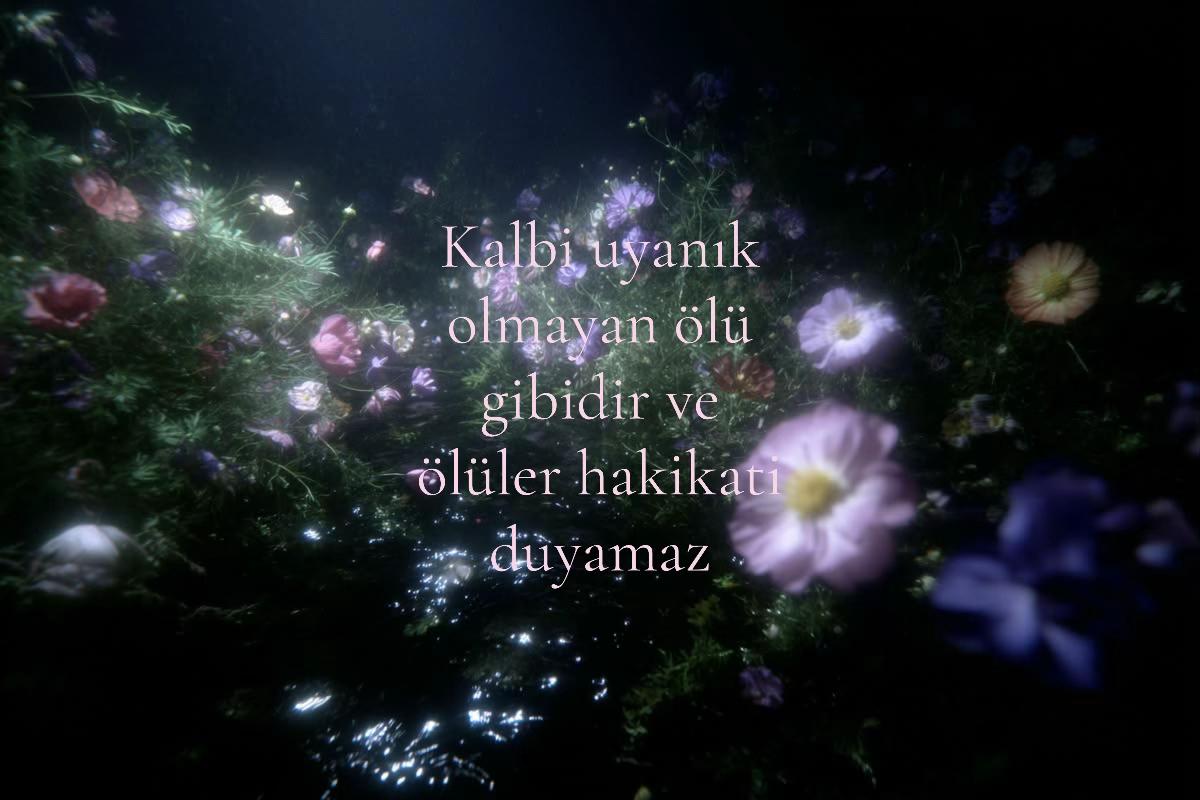 @𝒍𝒊𝒗𝒊𝒏𝒈𝒉𝒂𝒓𝒅