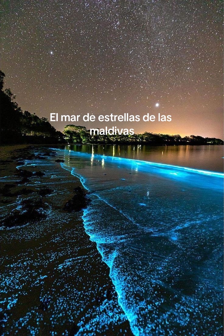 @cristinaaa2222
