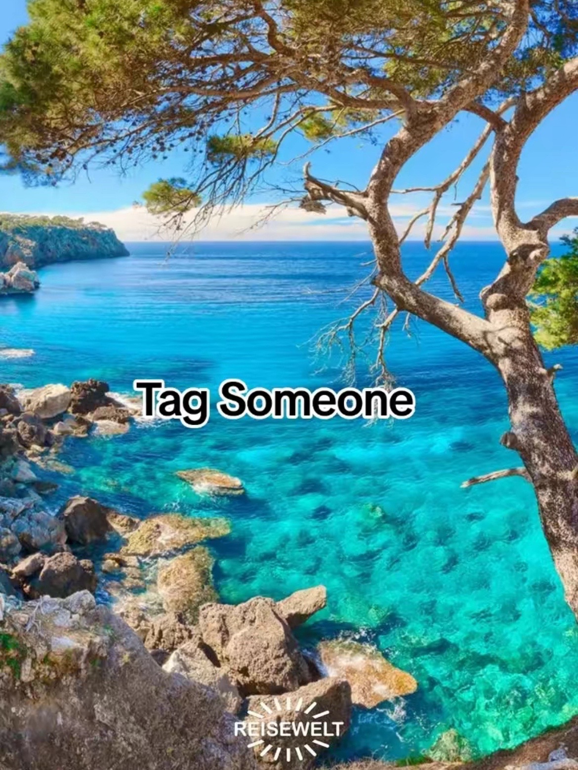 @Reddit Storys