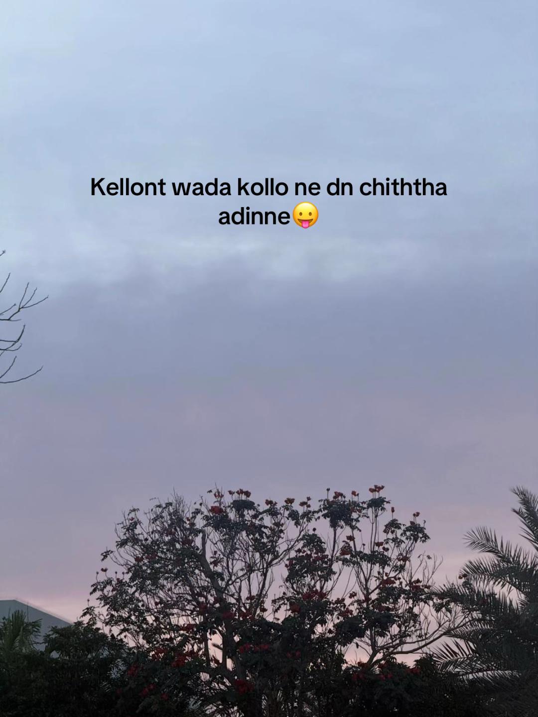 @sanduu0503