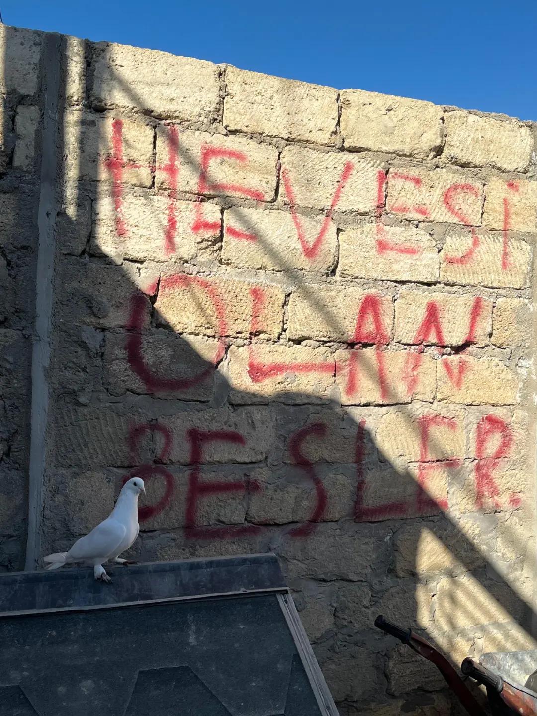 @pirsağı