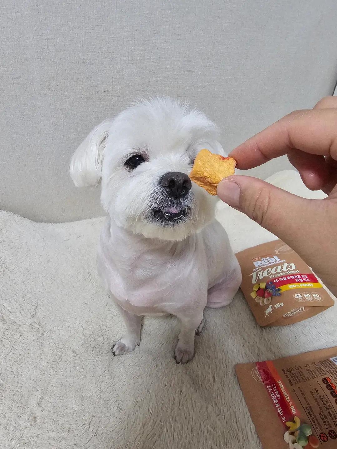 @미미에효