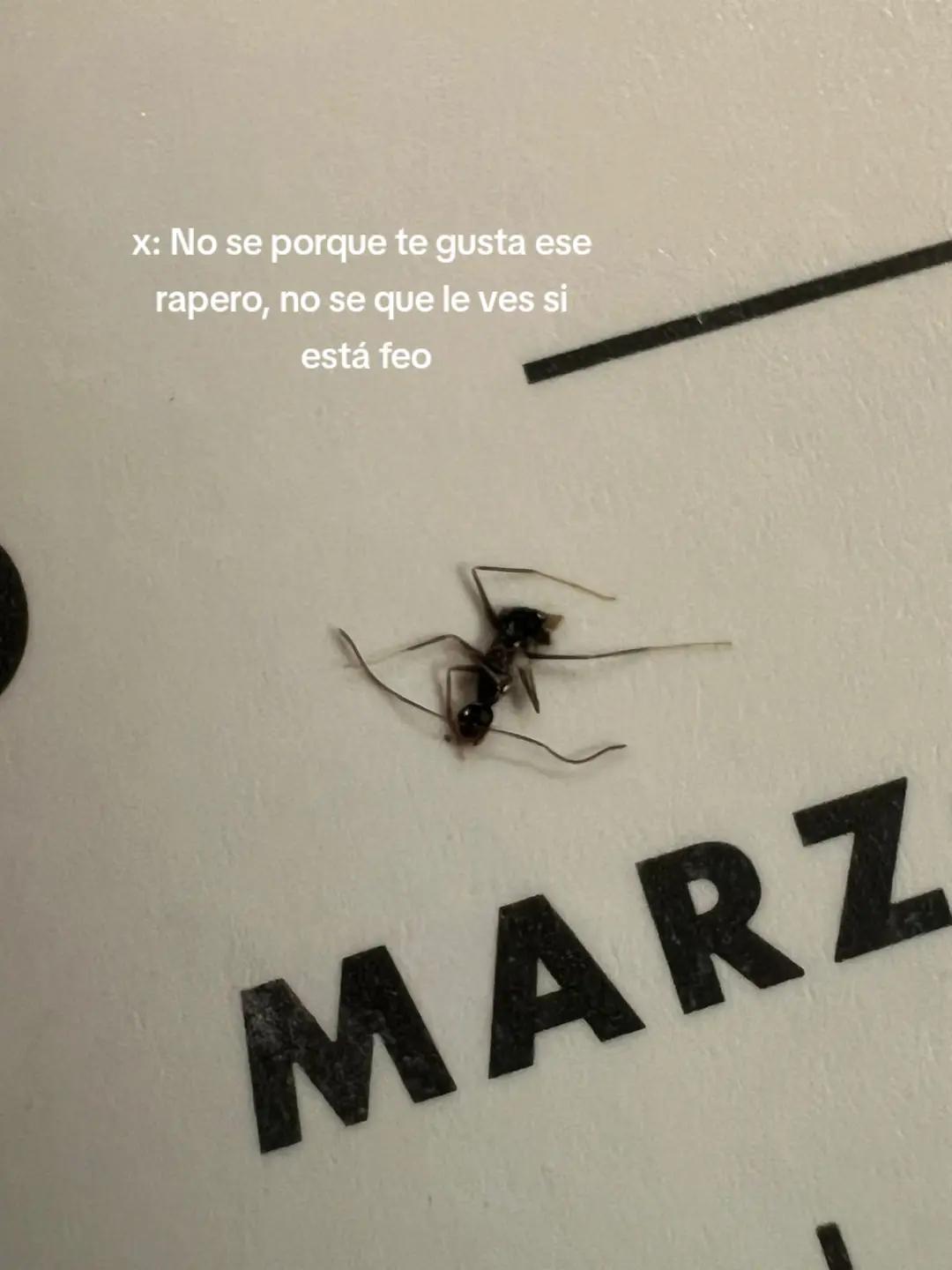 @RM