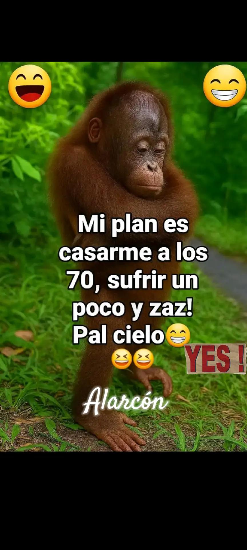 @Alarc&oacute;n75