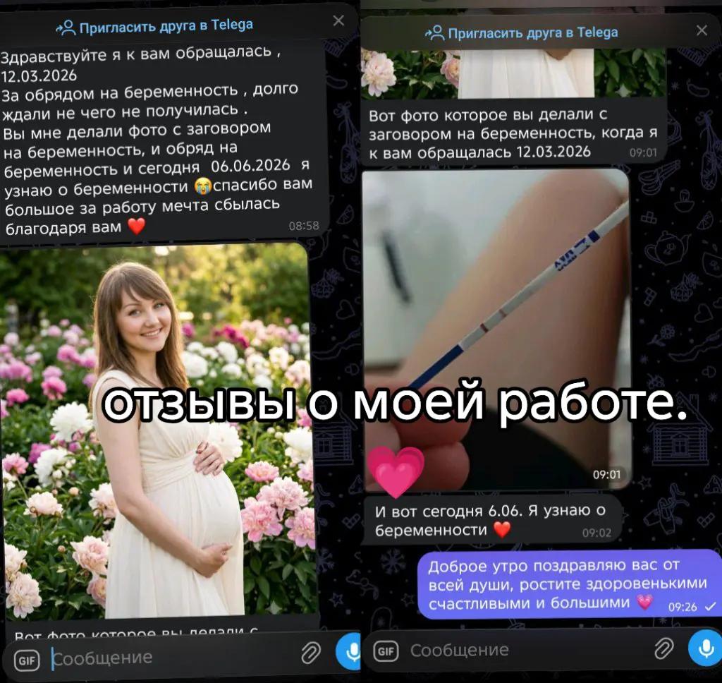 @Tarolog5467