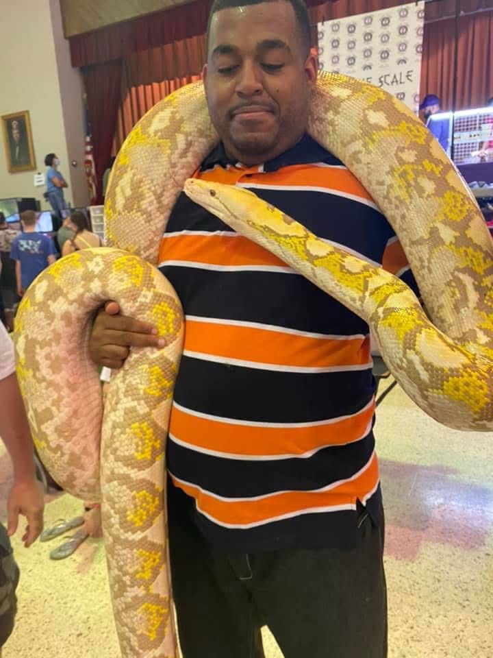 @🐍 Derricks Reptiles 🐍
