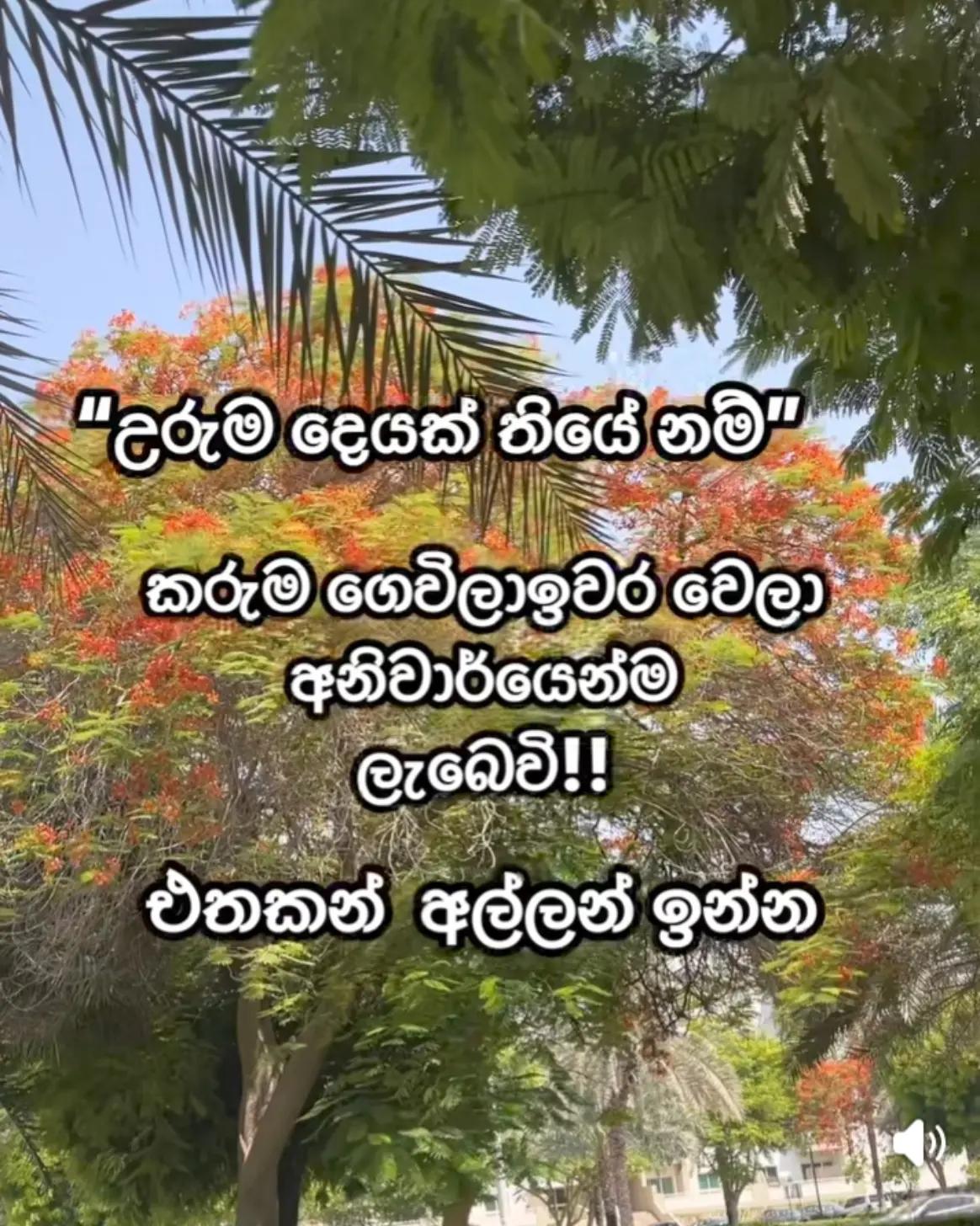 @🇱🇰꧁꧂මාලිඇතුගල්පුර🙏᭄𝄡ᬊᬁ🇴🇲