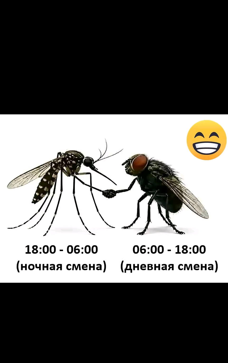 @Ⓢⓞⓝⓔⓧⓒⓔⓛⓛⓔⓝⓒⓔ✪