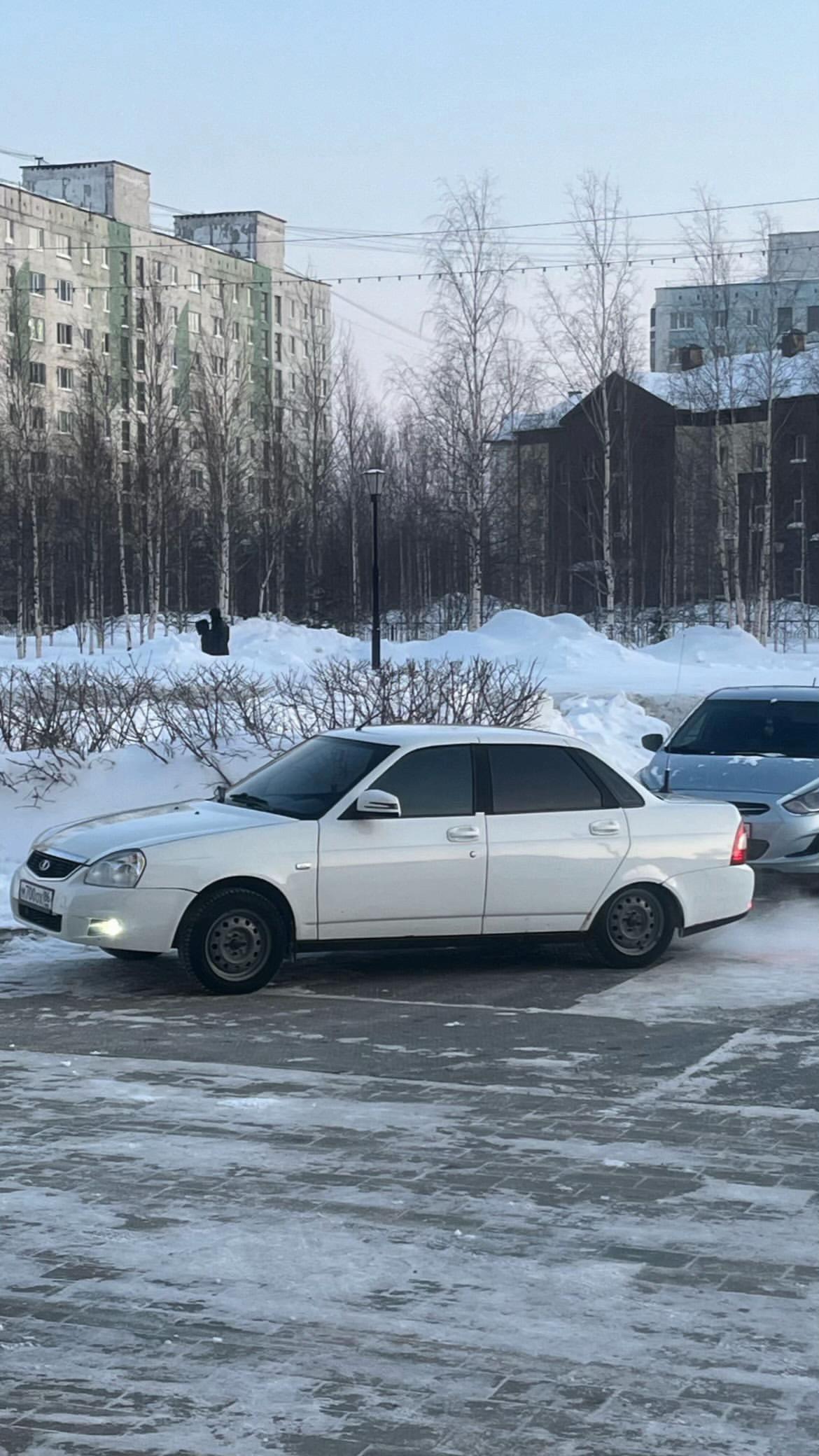 @⚜️ АББАСОВ ⚜️