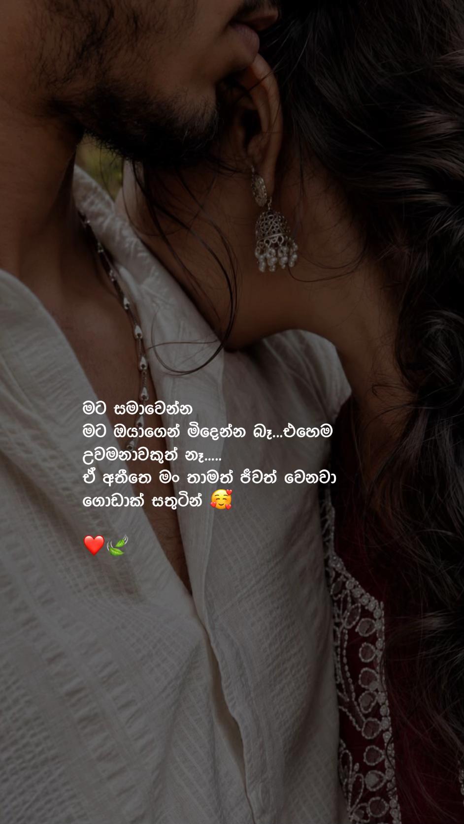 @A 🐰
