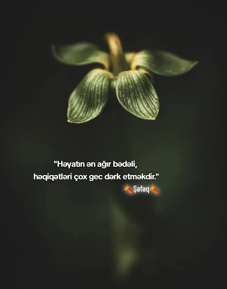 @🍂ŞƏFƏQ🍂
