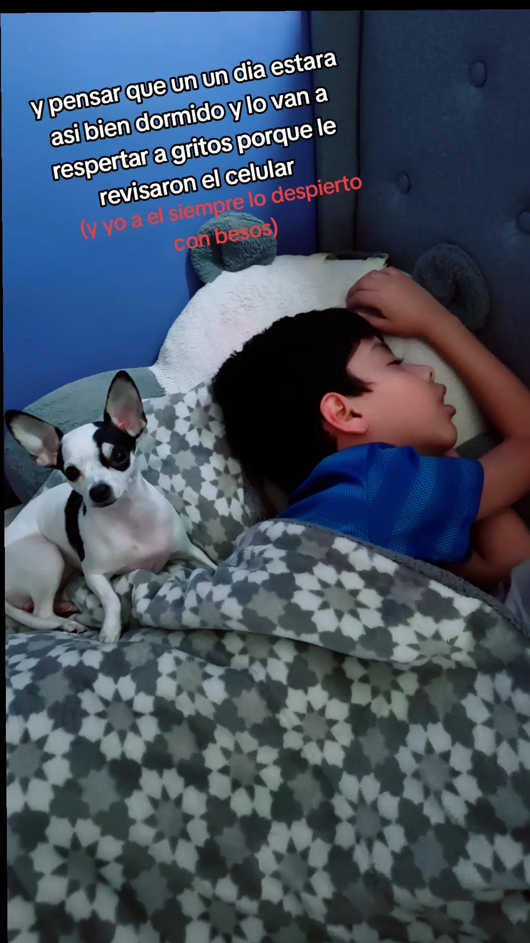 @Pauchaii