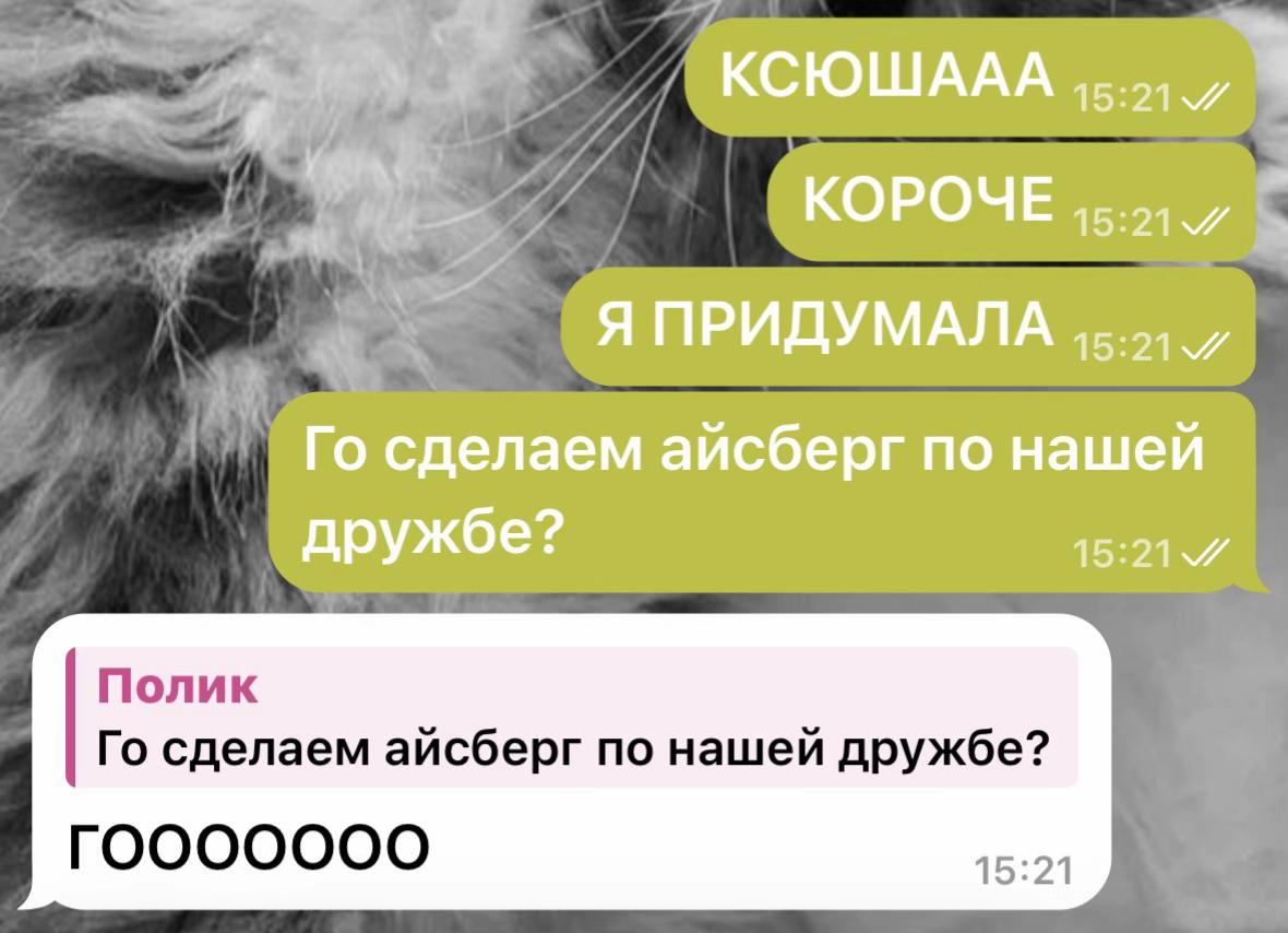 @Полик 💞