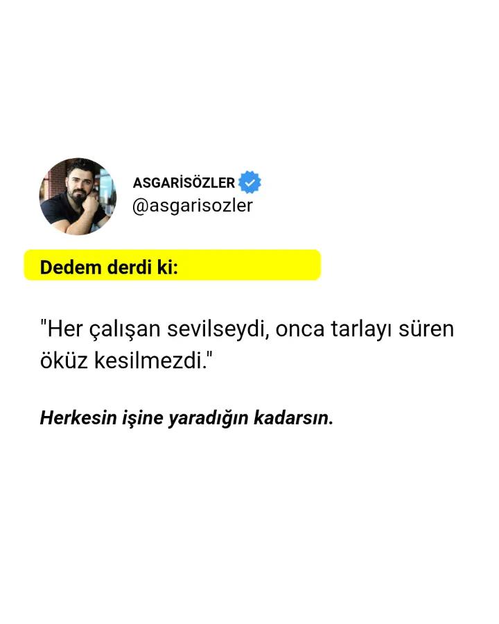 @asgarisozler